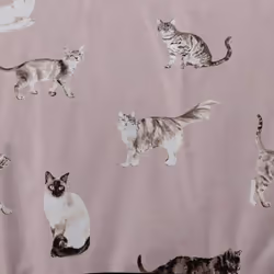 Fusion - Cats - Easy Care Duvet Cover Set - Single Bed Size in Blush