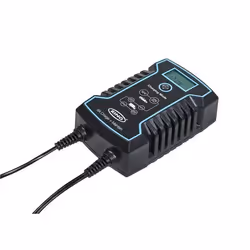 Battery Charger; RING; 4, 8 12, 24