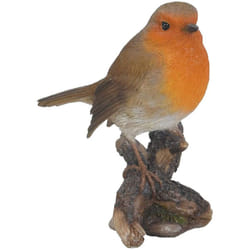 Vivid Arts - British Birds Robin Home or Garden Highly Detailed