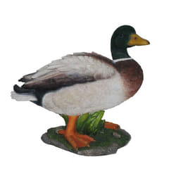 Vivid Arts Mallard Duck