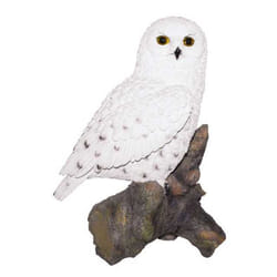Vivid Arts Snowy Owl