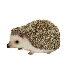 Vivid Arts Pygmy Hedgehog