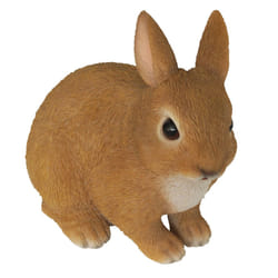 Young Rabbit Sitting Real Life Ornament by Vivid Arts