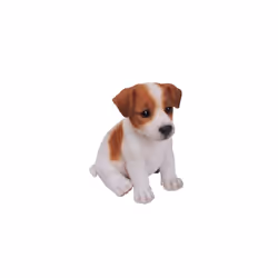 Jack Russell Puppy Pet Pal by Vivid Arts