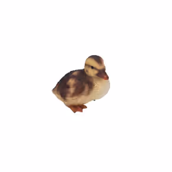 Vivid Arts Squatting Duckling
