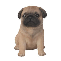 Vivid Arts Pug Puppy