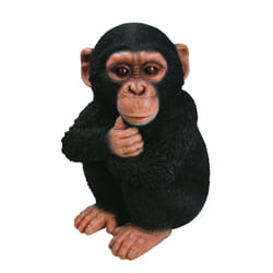 Vivid Arts XRL-CHM2-F Baby Chimpanzee Resin Ornament