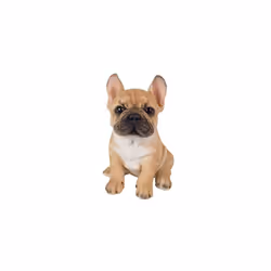 Vivid Arts Pet Pals Golden French Bulldog Puppy
