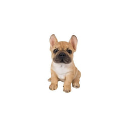 Vivid Arts Pet Pals Golden French Bulldog Puppy