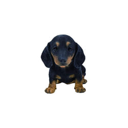 - Pet Pals Black/Brown Dachshund Puppy Home or Garden Decoration (PP-DACH-F)