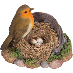 Robin Standing on Rusty Pail Guarding Eggs Highly Detailed