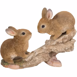 Playful Climbing Baby Rabbits - Size B
