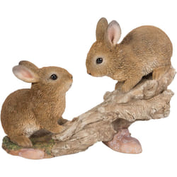Playful Climbing Baby Rabbits - Size B