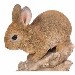 Playful Climbing Baby Rabbits - Size B