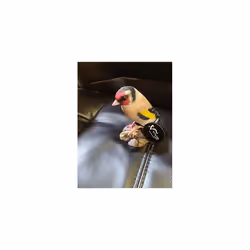 Goldfinch Bird | Resin Home or Garden Decoration | WBC-GOLF-F