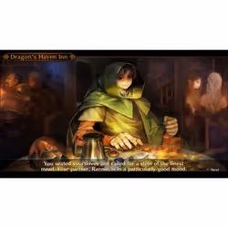 Atlus Dragon's Crown Pro Standard German, English, Spanish, French, Italian PlayStation 4 - Additional view 8