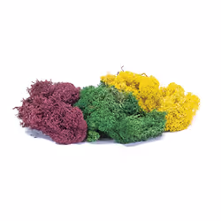 Hornby R7197 Lichen - Large Autumn Mix OO Gauge