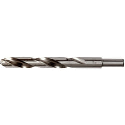 Dart BSD24013 Twist drill bit 1 pc(s)