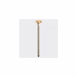 TIMco PP25BEIGE Polymer Headed Pin Beige 25mm Box of 250