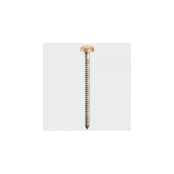 TIMco PP25BEIGE Polymer Headed Pin Beige 25mm Box of 250