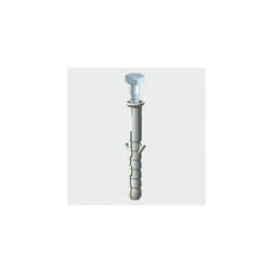 TIMco 08100CSCNP Coach Screw and Nylon Plugs 8 x 100mm Bag of 2