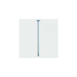 TIMco GRW100T Round Wire Nails Galvanised 100 x 4.50mm 2.50 KG