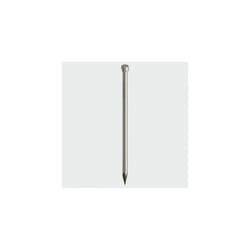 TIMco BLH65T Round Lost Head Nails Bright 65 x 3.35mm 2.50 KG