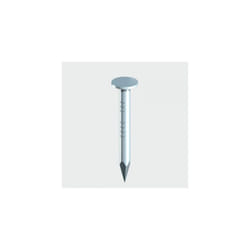 TIMco GCN75T Clout Nails Galvanised 75 x 3.75mm 2.50 KG