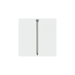 TIMco BPP30MB Panel Pin Bright 30 x 1.60mm 0.50 KG