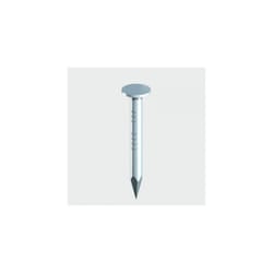 TIMco GCN40LB Clout Nails Galvanised 40 x 2.65mm 2.50 KG