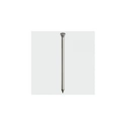 TIMco BPP50MB Panel Pin Bright 50 x 2.00mm 0.50 KG