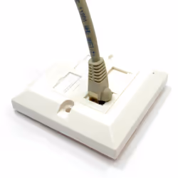 kenable RJ45 Face Plate Wall Sockets Cat6 Double 2 Port with Keystones Jacks