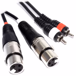 kenable 005060, 2 x RCA, Male, 2 x XLR (3-pin), Female, 1.5 m, Black