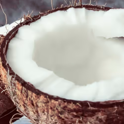 Organic Refined Coconut (Solid) Oil (#227) 250g - Pure, Natural, Certified Organic, Cruelty Free, Vegan - Moisturising & Hydrating - Ideal for