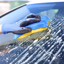 Goodyear Microfibre Sponge Bug & Tar Remover Mesh Trim Pad Insect Stain Remover
