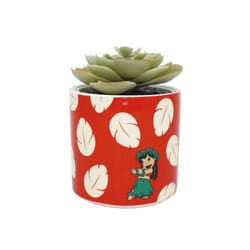 Half Moon Bay Disney: Lilo And Stitch Plant Pot