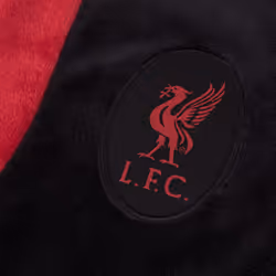 Liverpool FC Official Football Gift Boys Hooded Fleece Dressing Gown Robe - Black, 5-6 Years
