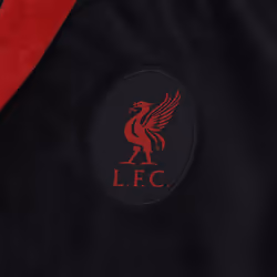 Liverpool FC Mens Dressing Gown Robe Hooded Fleece OFFICIAL Football Gift - Black, 2XL