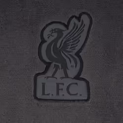 Liverpool FC Mens Dressing Gown Robe Hooded Fleece OFFICIAL Football Gift - Grey, Small