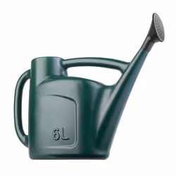 5L to 10L Watering Can with Detachable Rose Head - Green, 6L