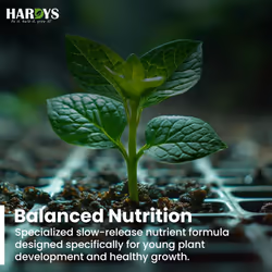 Young Plant Seedlings & Cutting Compost Out/Indoor