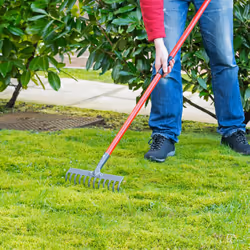 Carbon Steel Garden Rake for Soil, Lawn & Leaves