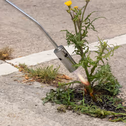 Weed Burner Wand Garden Blowtorch - Weed Burner + 4 Refills