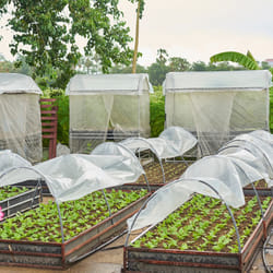 Veg & Plant Protection Garden Fleece Grow Tunnel