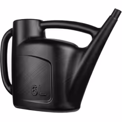 6L Black Watering Can with Detachable Rose Head