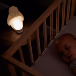 Tommee Tippee Baby 2 in 1 Night Light Penguin Portable Dimmable Rechargable Egg - Additional view 5