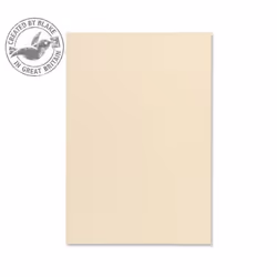 Blake Premium Business Paper Cream Wove A4 297x210mm 120gsm (Pack 500), Legal, Cream, 120 g/m², 210 mm, 297 mm, Forest Stewar ...