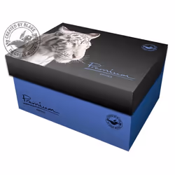 Blake Wallet Window Peel and Seal Ultra White Wove DL 120gsm (Pack 500)