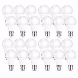 LED Light Bulbs GLS Globe Bulb B22 / BC Bayonet Cap Warm White 2700K - 24