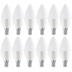 LED Light Bulbs Candle E14 / SES Screw Warm White 2700K 6W=40W - 12